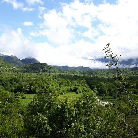 威尔帕扎 Camp Sunny Hills酒店 外观 照片