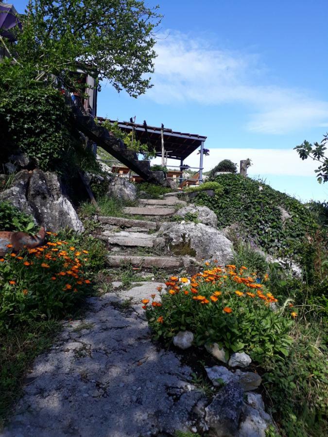 威尔帕扎 Camp Sunny Hills酒店 外观 照片
